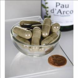 Природный антибиотик - кора муравьиного дерева Пау дарко / Pau d’Arko, 500 мг 100 капсул / SWV-01424