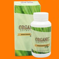 Wheatgrass - витамины для волос от Organic Collection (Витграсс) / 6017