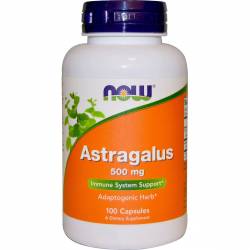 Астрагал, Astragalus, Now Foods, 500 мг, 100 капсул / NF4605