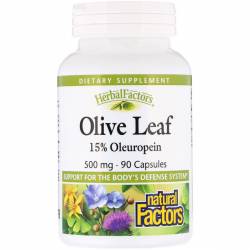 Оливковые Листья, Olive Leaves, Natural Factors, 500 мг, 90 капсул / NFS04570