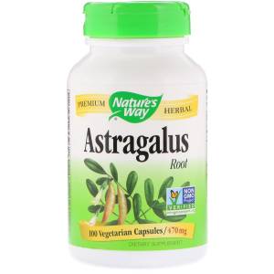 Корень Астрагала, Astragalus Root, Nature's Way, 470 mg, 100 Капсул