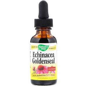 Эхинацея и Гидрастис, Echinacea Goldenseal, Nature's Way, без спирта, 30 мл / NWY14663