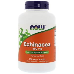 Эхинацея 400мг, Now Foods, Echinacea Purpurea, 250 капсул / NF4662